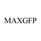 MAXGFP