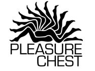 PLEASURE CHEST