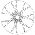 Image Trademark