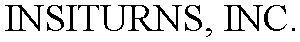 INSITURNS, INC.