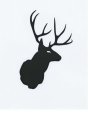 Image Trademark