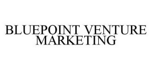 BLUEPOINT VENTURE MARKETING