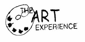 THE ART EXPERIENCE