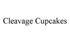 CLEAVAGE CUPCAKES