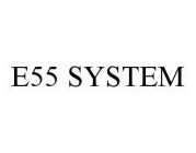 E55 SYSTEM