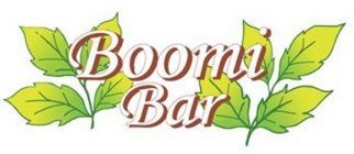 BOOMI BAR