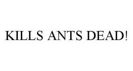 KILLS ANTS DEAD!