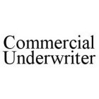 COMMERCIAL UNDERWRITER