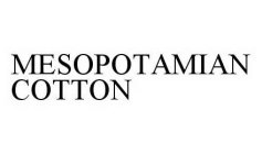 MESOPOTAMIAN COTTON