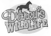 DARCY'S WILDLIFE