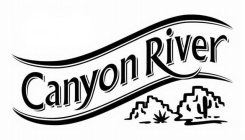 CANYON RIVER