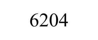 6204
