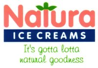 NATURA ICE CREAMS IT'S GOTTA LOTTA NATURAL GOODNESS