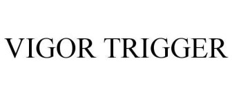 VIGOR TRIGGER