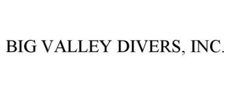 BIG VALLEY DIVERS, INC.
