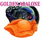 GOLDEN ABALONE