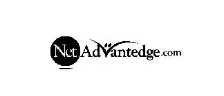 NETADVANTEDGE.COM