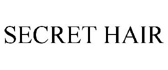 SECRET HAIR