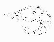 Image Trademark