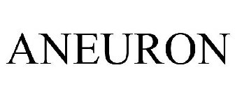 ANEURON