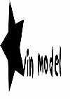 VIN MODEL