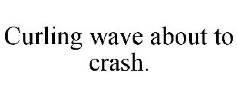 CURLING WAVE ABOUT TO CRASH.