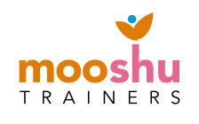 MOOSHU TRAINERS