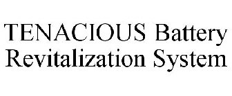 TENACIOUS BATTERY REVITALIZATION SYSTEM