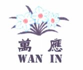 WAN IN