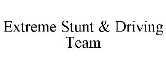 EXTREME STUNT & DRIVING TEAM