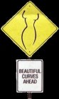 BEAUTIFUL CURVES AHEAD