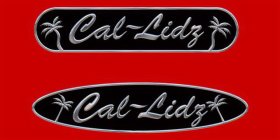 CAL-LIDZ