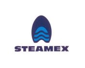 STEAMEX