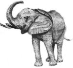 Image Trademark