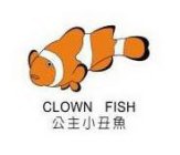 CLOWN FISH