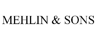 MEHLIN & SONS