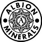 ALBION MINERALS