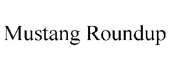 MUSTANG ROUNDUP