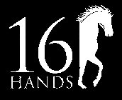 16 HANDS