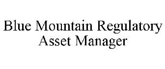 BLUE MOUNTAIN REGULATORY ASSET MANAGER