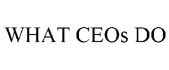 WHAT CEOS DO