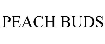 PEACH BUDS