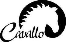 CAVALLO