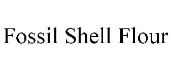 FOSSIL SHELL FLOUR