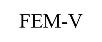 FEM-V