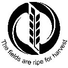 THE FIELDS ARE RIPE FOR HARVEST