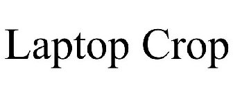 LAPTOP CROP