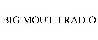 BIG MOUTH RADIO