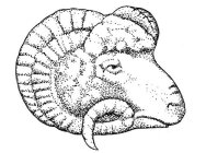 Image Trademark