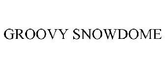 GROOVY SNOWDOME